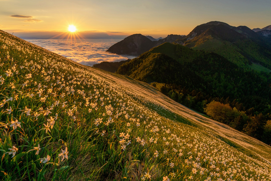 mountainnature